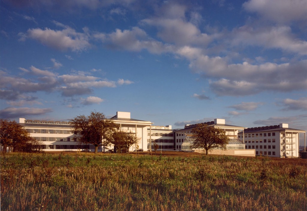 exterior view