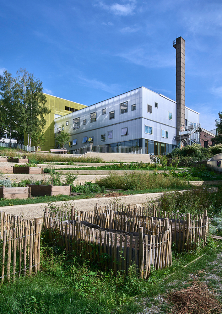 BOB CAMPUS and the Community Park